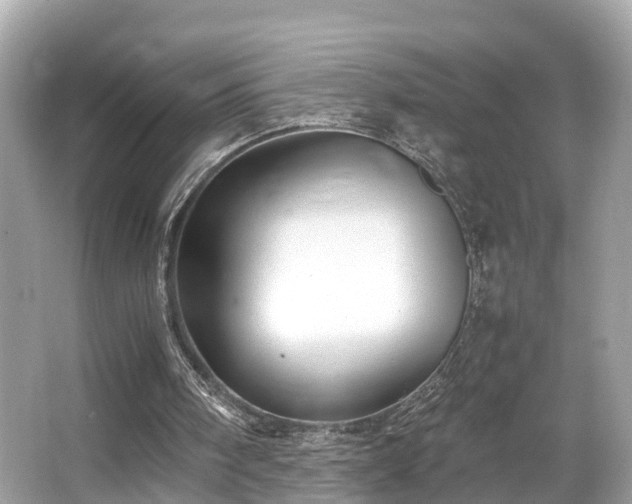X0000063470098200601231455
