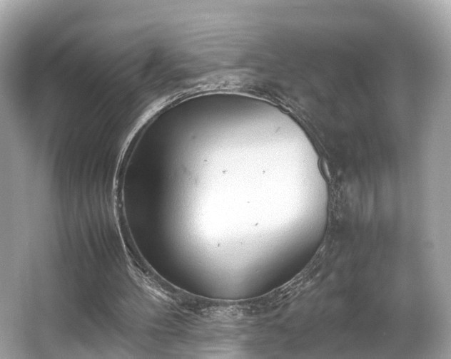 X0000063470100200601231455