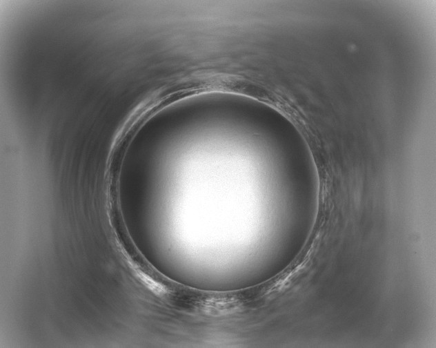 X0000063470101200601231455