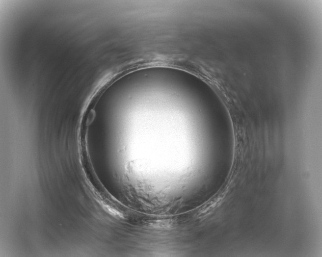 X0000063470102200601231455