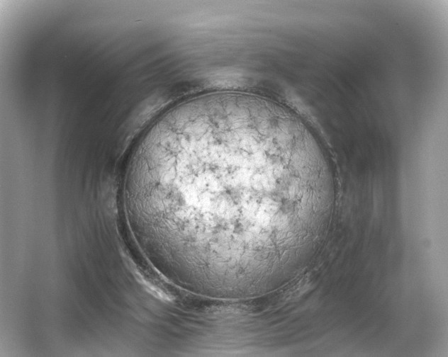 X0000063470106200601231455