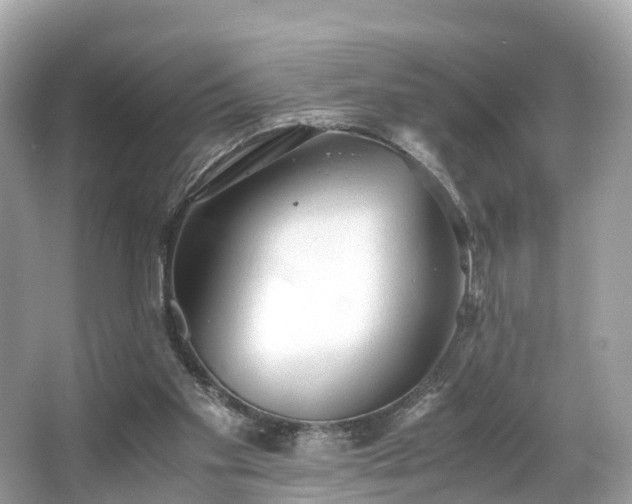 X0000063470109200601231455