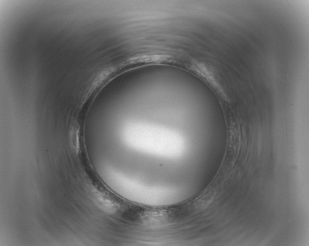 X0000063470110200601231455