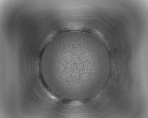 X0000063470114200601231455