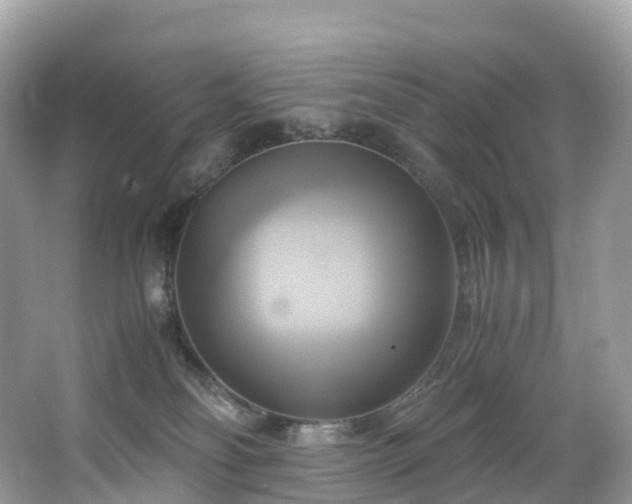 X0000063470134200601231454
