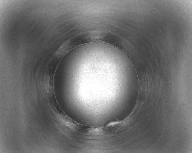 X0000063470140200601231454