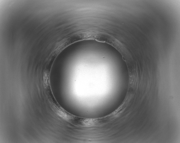 X0000063470142200601231454
