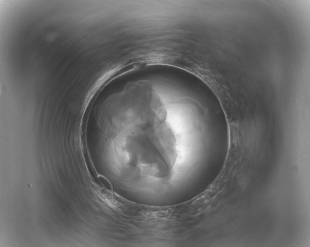 X0000063470147200601231453
