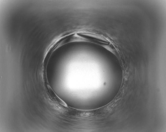 X0000063470152200601231453