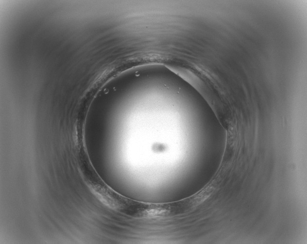 X0000063470158200601231453
