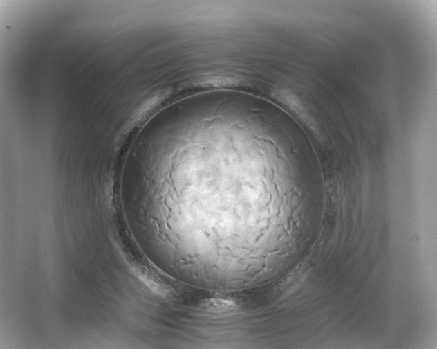 X0000063470159200601231453