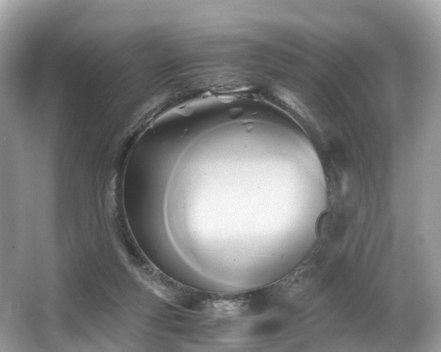 X0000063470163200601231454