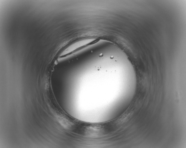 X0000063470164200601231454
