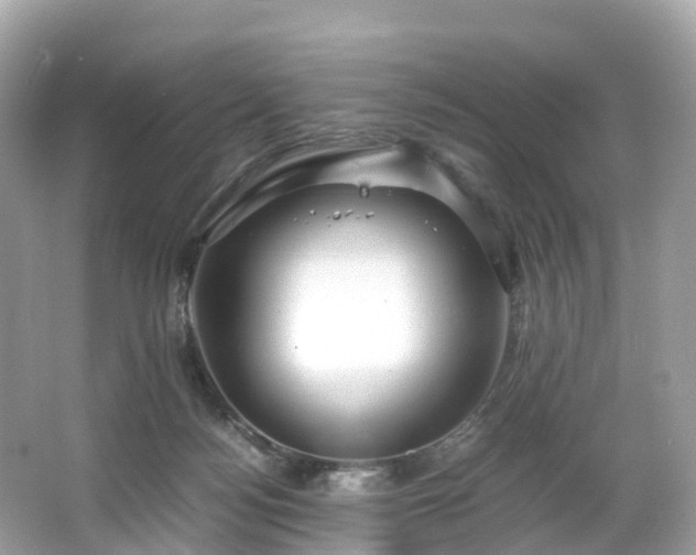 X0000063470172200601231454