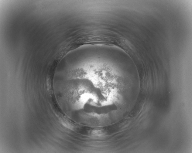 X0000063470173200601231454