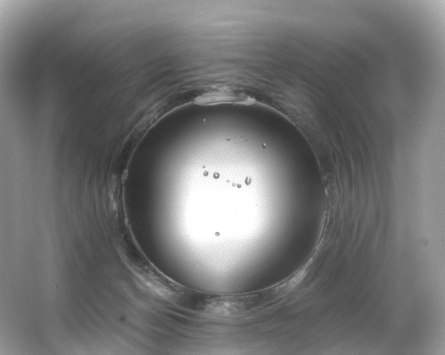 X0000063470174200601231454