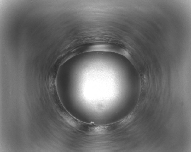 X0000063470184200601231454