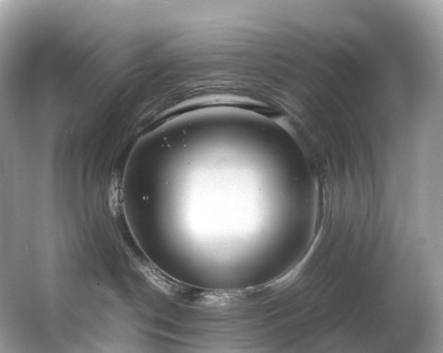 X0000063470190200601231454