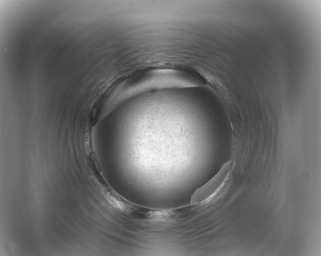 X0000063470192200601231454