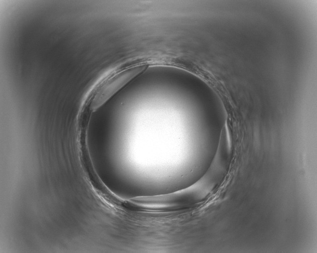 X0000063470197200601231453
