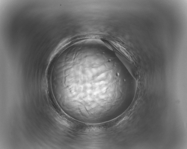 X0000063470198200601231453