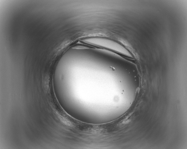 X0000063470201200601231453