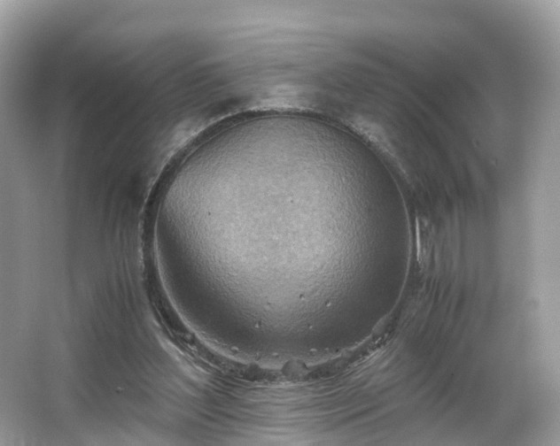 X0000063470204200601231453