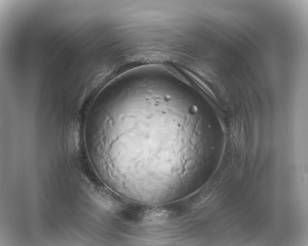 X0000063470206200601231453