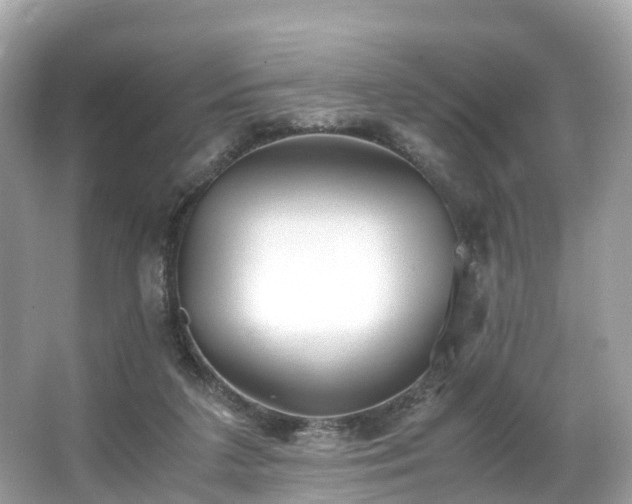 X0000063470211200601231453