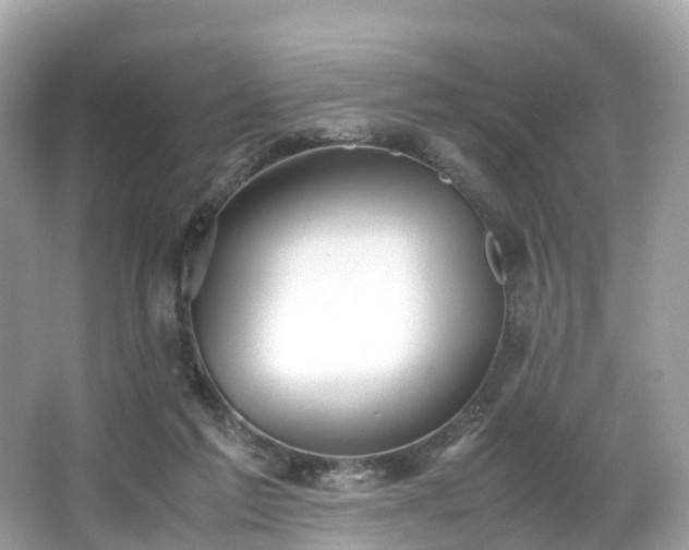 X0000063470213200601231453