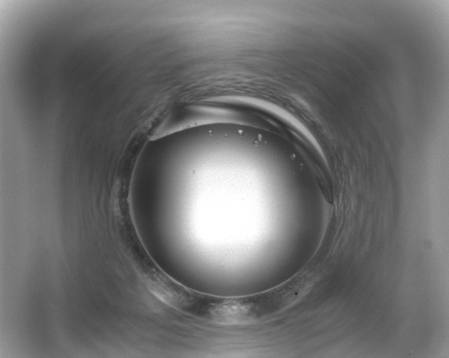 X0000063470217200601231453