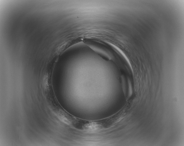 X0000063470219200601231453