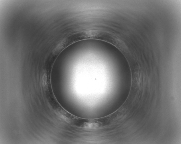 X0000063470220200601231453