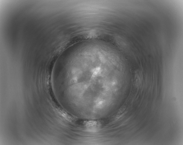 X0000063470230200601231453