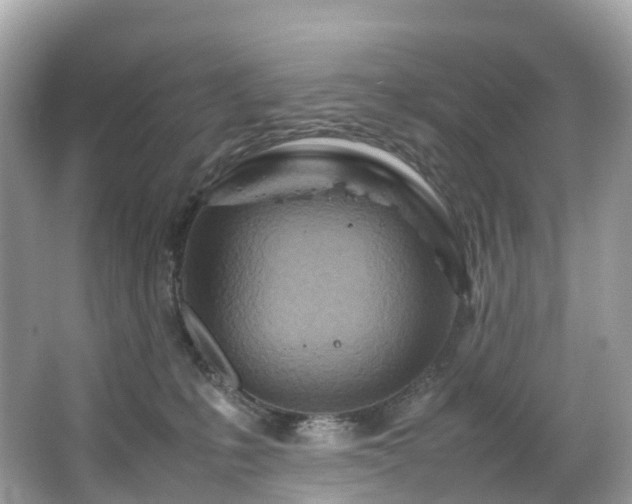 X0000063470231200601231453