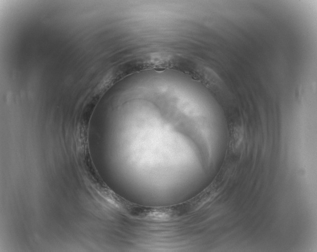 X0000063470236200601231453