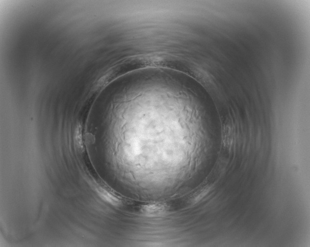 X0000063470238200601231452