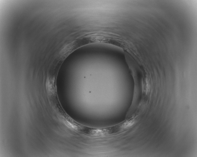 X0000063470239200601231452
