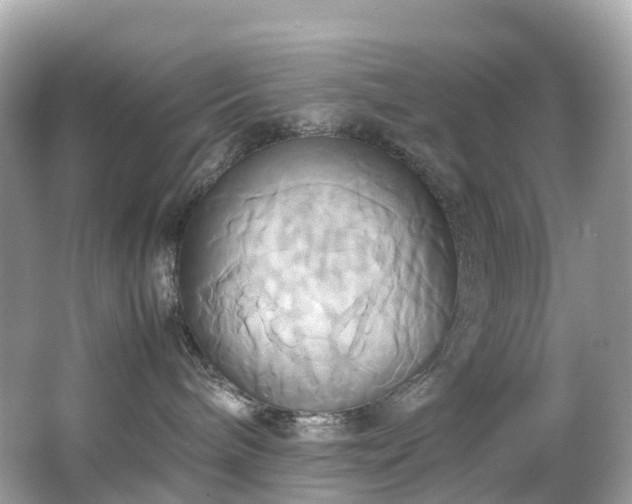 X0000063470240200601231452