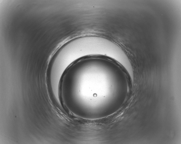 X0000063470244200601231452
