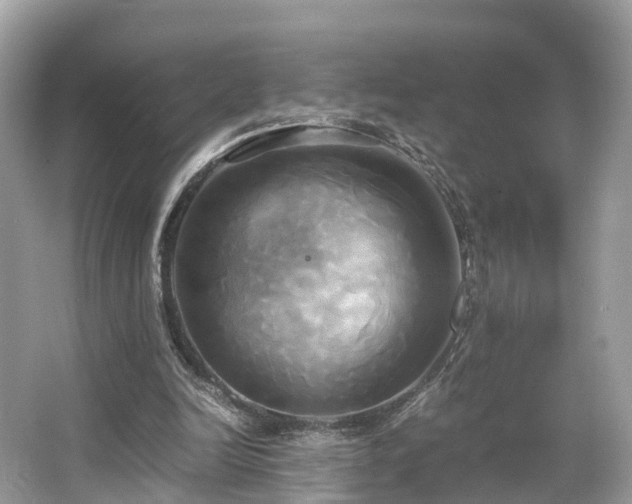 X0000063470246200601231452