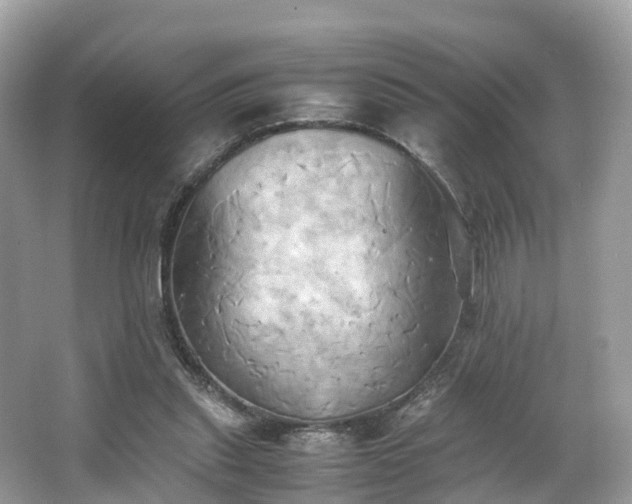 X0000063470253200601231452