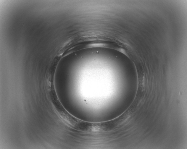 X0000063470264200601231452