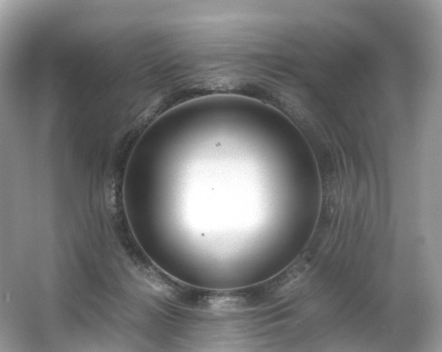 X0000063470268200601231452