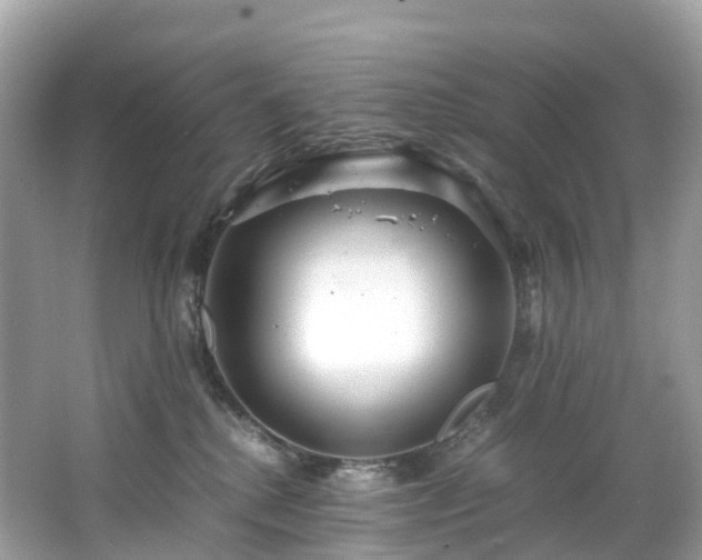 X0000063470280200601231452