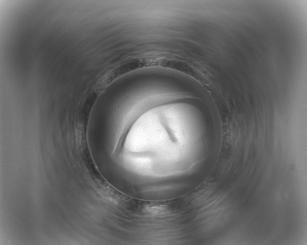 X0000063470283200601231452