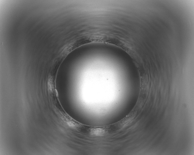 X0000063470287200601231452