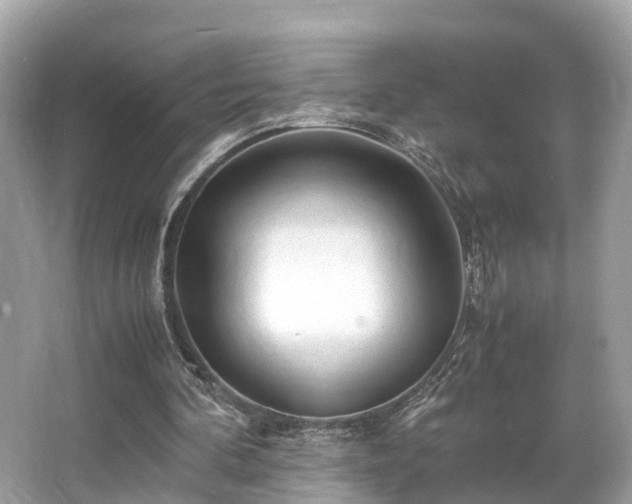 X0000063470292200601231452