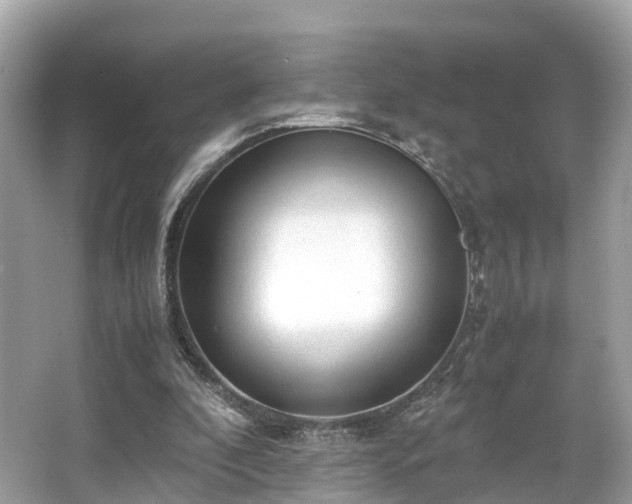 X0000063470296200601231451