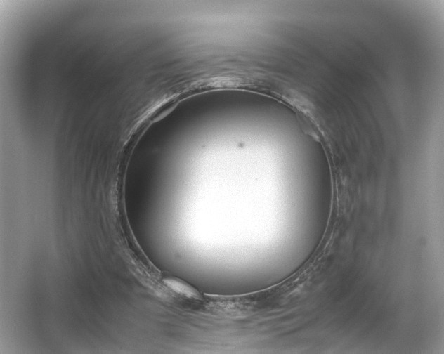 X0000063470297200601231451